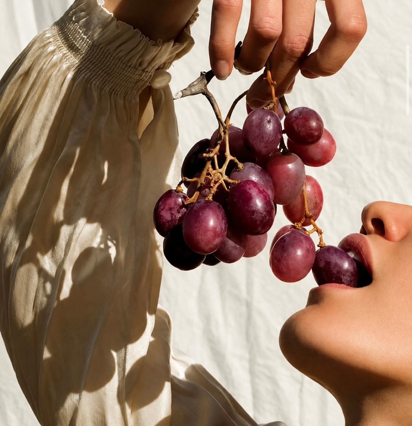 Premium red grapes fresh from Indian farms